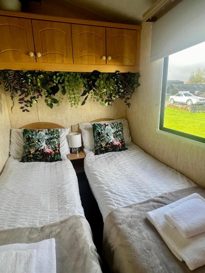 Jungle House No.26 At Three Lochs Holiday Park Newton Stewart Bagian luar foto