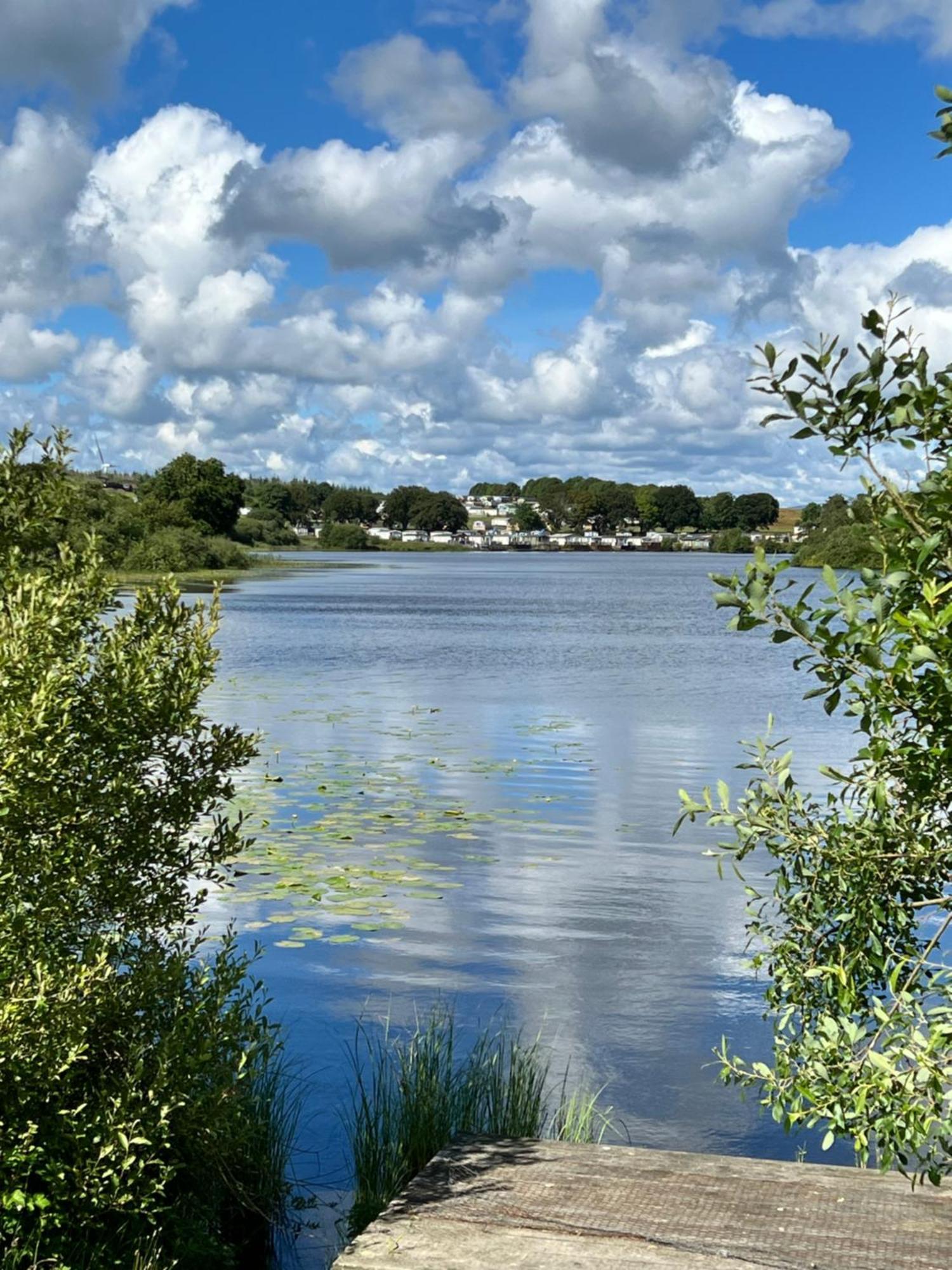 Jungle House No.26 At Three Lochs Holiday Park Newton Stewart Bagian luar foto